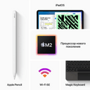 2022 Apple iPad Pro 11″ (256GB, Wi-Fi + Cellular, серебристый)— фото №6